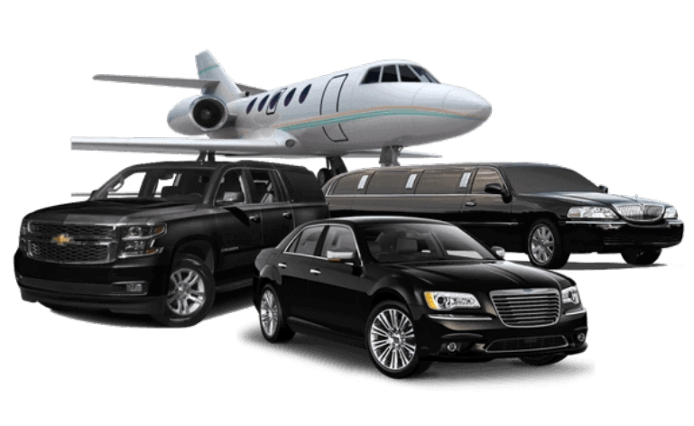 Travel Consultant Travel Consultant